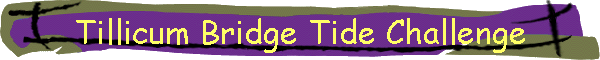 Tillicum Bridge Tide Challenge