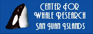 Center For Whale Research - San Juan Islands, WA