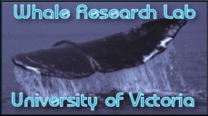 Whale Research Lab - University of Victoria