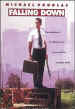 Copy of Falling Down.jpg (8439 bytes)